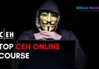 Best CEH Online Certification Training in Pune with Placement Support