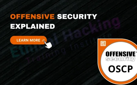 What Is Offensive Security? An Overview of the Organization
