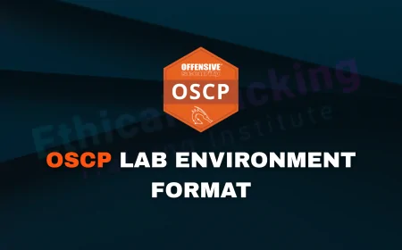 What Is the Format of the OSCP Lab Environment? Complete Guide to Navigating OSCP Virtual Labs
