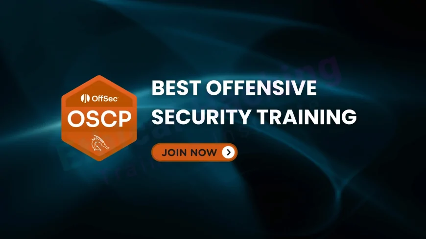 Best Offensive Security Training Programs for Career Growth in 2025