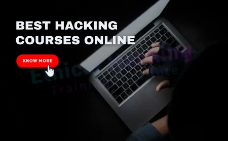 Best Hacking Courses for Beginners and Experts Alike | Beginner to Expert: Best Hacking Courses You Can Take Online