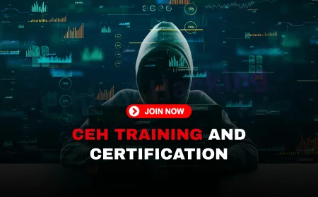 Certified Ethical Hacker Certification Training: What to Expect and How to Prepare | CEH Training and Certification Preparation: Everything You Need to Know