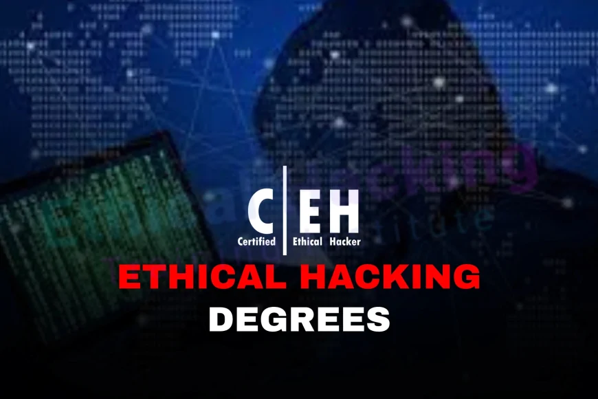 Can You Get an Ethical Hacker Degree? What Are Your Options? | How to ...