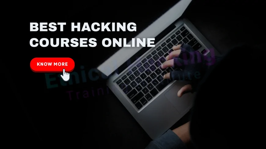 Best Hacking Courses for Beginners and Experts Alike | Beginner to Expert: Best Hacking Courses You Can Take Online