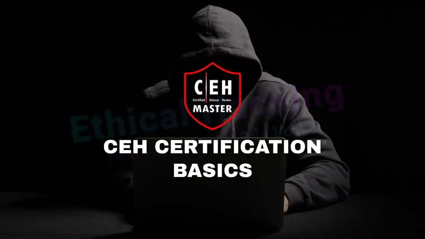 CEH Certifications: Everything You Need to Know to Get Certified | Everything You Should Know About CEH Certification Before You Start