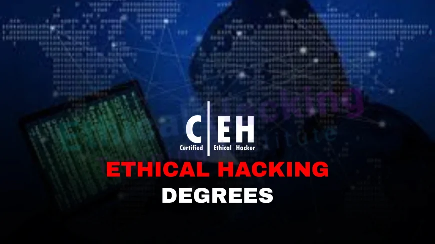 Can You Get an Ethical Hacker Degree? What Are Your Options? | How to Pursue an Ethical Hacking Degree: What Are Your Choices?