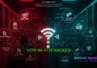 How Do Hackers Hack Wi-Fi Networks?