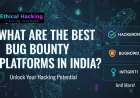 What Are the Best Bug Bounty Platforms in India?