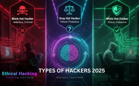 What Is the Difference Between Black Hat, White Hat, and Gray Hat Hackers?