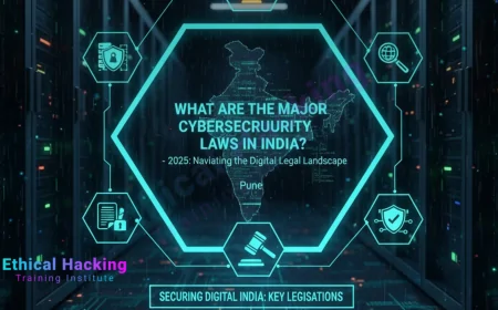What Are the Major Cybersecurity Laws in India?
