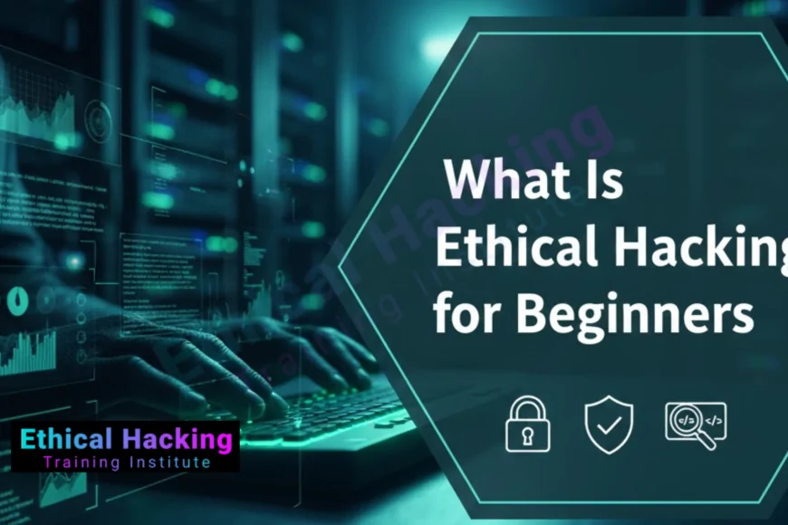 What Is Ethical Hacking for Beginners in 2025? - Learn Ethical Hacking ...