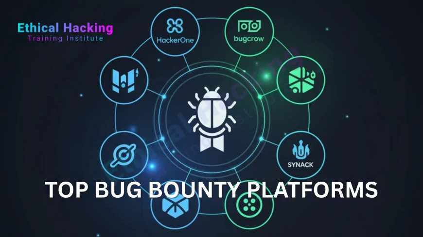 What Are the Most Popular Bug Bounty Platforms?