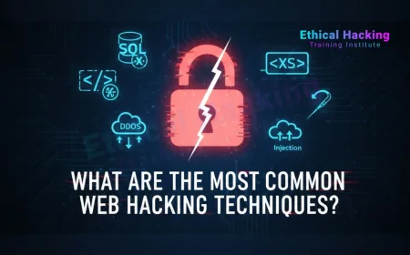 What Are the Most Common Web Hacking Techniques?